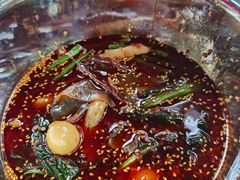 -舒记钵钵鸡