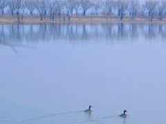 -野鸭湖国家湿地公园