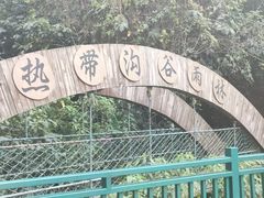 -西双版纳原始森林公园