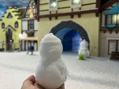 -世界之窗阿尔卑斯冰雪世界