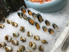 -沈阳和平艾美酒店新食谱西餐厅