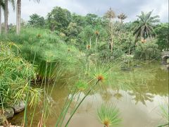 -中国科学院西双版纳热带植物园
