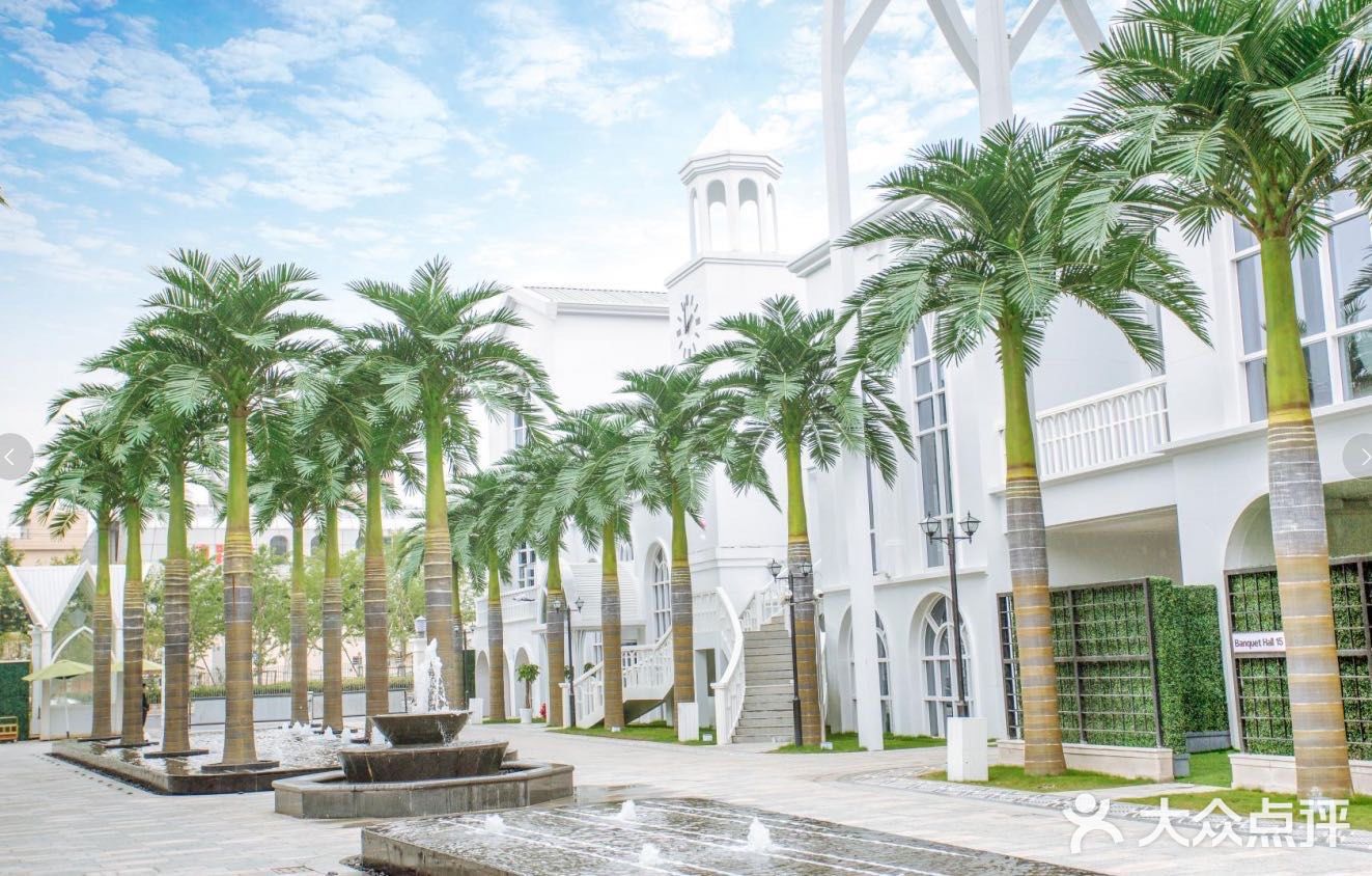 梦寐以求的婚礼