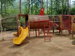 -合肥滨湖国家森林公园