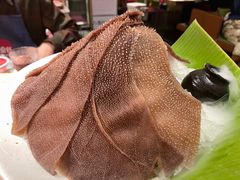 -九鼎轩脆毛肚火锅(三钢里店)