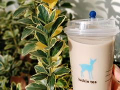 工夫生椰乳茶-瑞幸咖啡(东直门枢纽店)