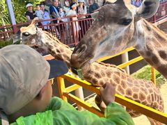 -西霞口神雕山野生动物世界