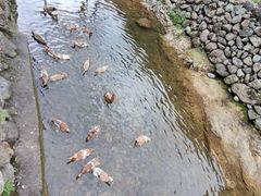 -布袋山风景区