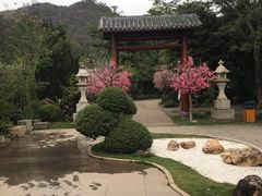 -河源客天下-温泉小镇