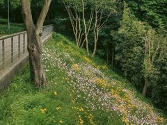 -西湖风景区-江洋畈生态公园