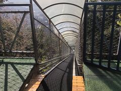 -溪霞怪石岭生态公园