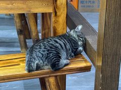 -杭嘉湖咬强羊肉面馆(永兴路总店)