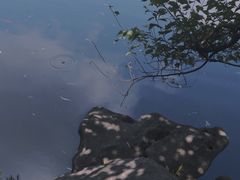 -艺圃