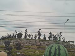 -东芭乐园