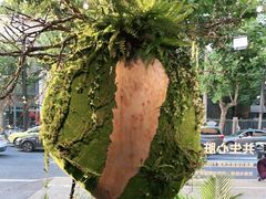 -精绝七日-新疆尼雅遗址数字大展【拉法耶文化艺术中心】