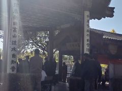 -天津水上公园