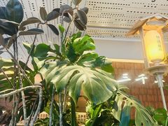 -桂满陇·景观餐厅(新世界店)
