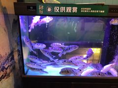 -肆月河豚·淮扬菜·湘菜(华天店)