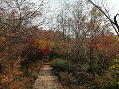 -南山风景名胜区