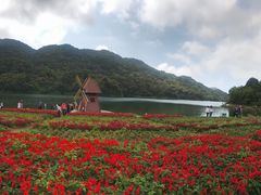 -广州市石门国家森林公园