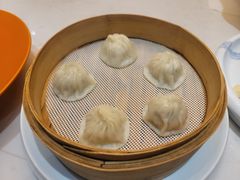 -鲐赏河豚(长寿店)