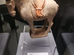 -隋唐大运河文化博物馆