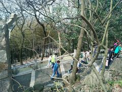 android_upload_pic-灵岩山风景区