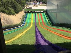 -梦幻奥陶纪景区