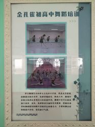 -金孔雀舞蹈学校