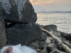 -丁香湖公园