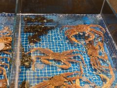 -江户前日本料理(瑞诗酒店店)