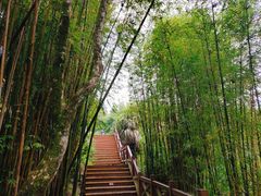 -广州市石门国家森林公园