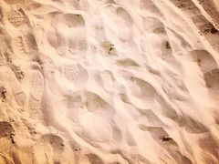 千步沙-普陀山风景名胜区-千步大沙