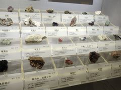 -湖南省地质博物馆