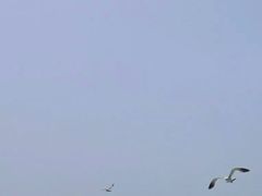 -海驴岛(荣成市)
