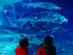 -华夏文旅海洋公园