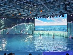-海合安青岛极地海洋公园