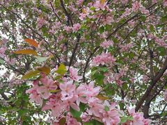 -哈尔滨文化公园