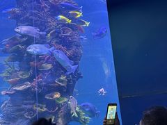 -西安曲江海洋极地公园