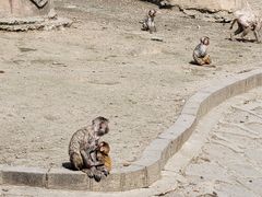 -哈尔滨北方森林动物园