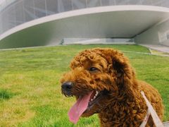-郑东新区龙湖公共艺术中心