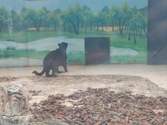 -昆明动物园