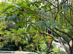 -老张烤羊(王哥庄店)