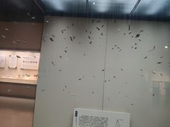 -临沂市博物馆