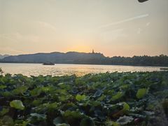 -湖畔居茶楼(湖滨店)