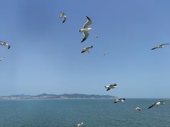 -长岛南北长山旅游景区