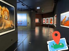 -罗红摄影艺术馆