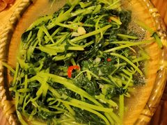 小米菜-多哥水傣味餐厅(司马巷店)