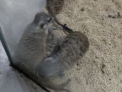 -海合安武汉极地海洋公园
