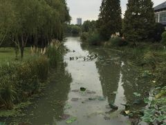 -昆山城市生态森林公园